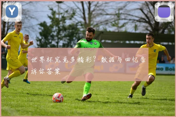 世界杯究竟多精彩？数据与回忆告诉你答案