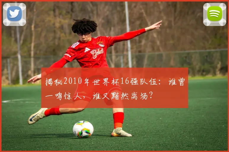 揭秘2010年世界杯16强队伍：谁曾一鸣惊人，谁又黯然离场？