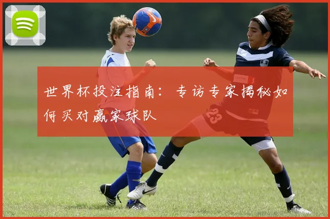 世界杯投注指南:专访专家揭秘如何买对赢家球队