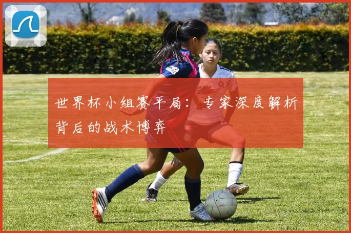 世界杯小组赛平局：专家深度解析背后的战术博弈