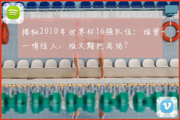 揭秘2010年世界杯16强队伍：谁曾一鸣惊人，谁又黯然离场？